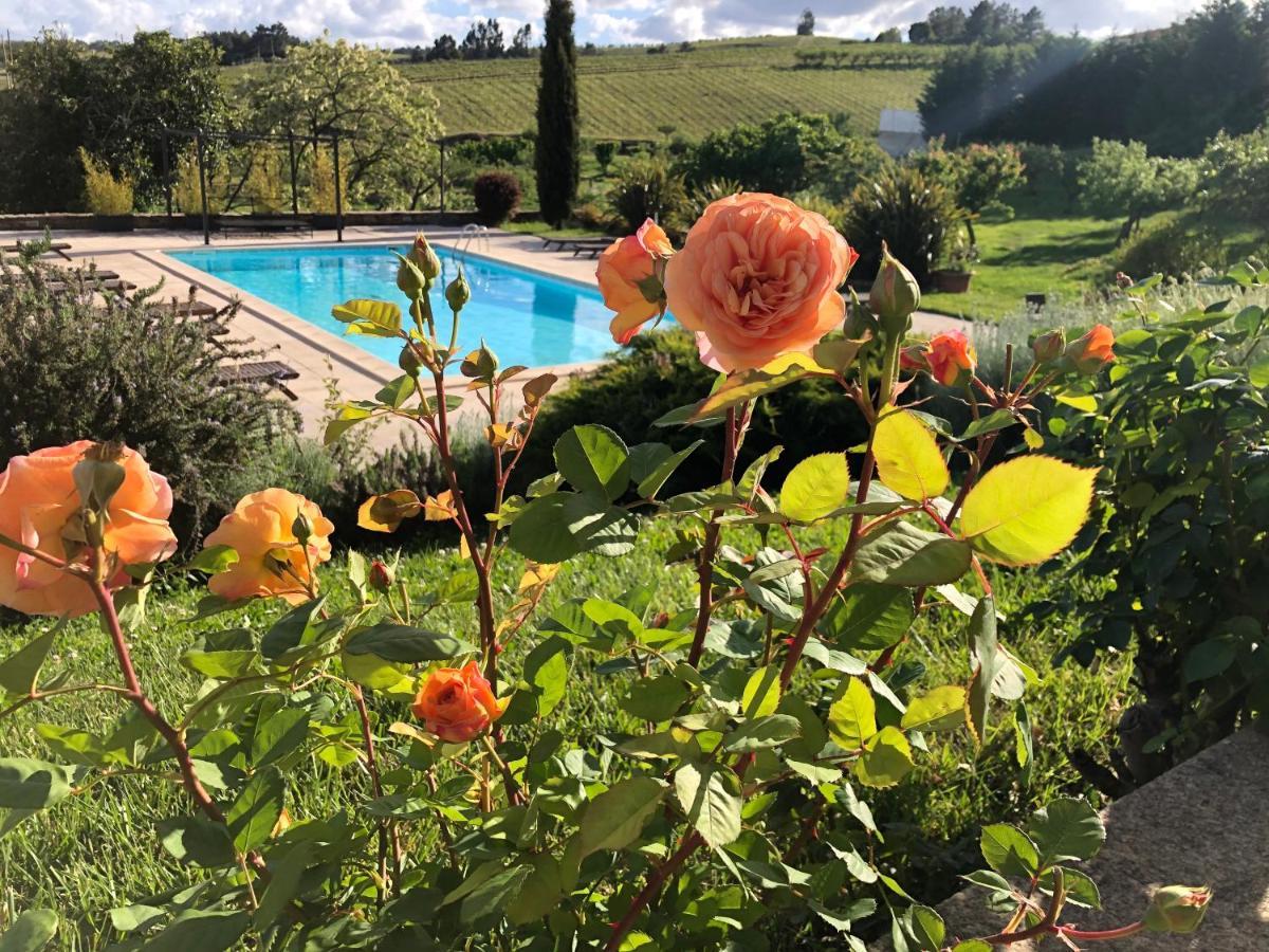 Отель Quinta Da Pereira E Enricas Agro-Turismo Вила-Флор Экстерьер фото