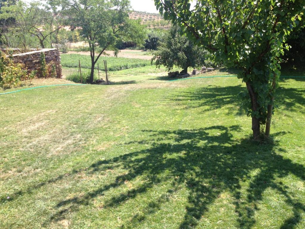 Отель Quinta Da Pereira E Enricas Agro-Turismo Вила-Флор Экстерьер фото